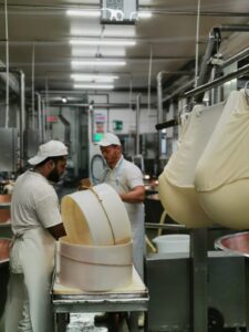 92b993bc-8b2b-4d50-a81b-9c62c54cb18d